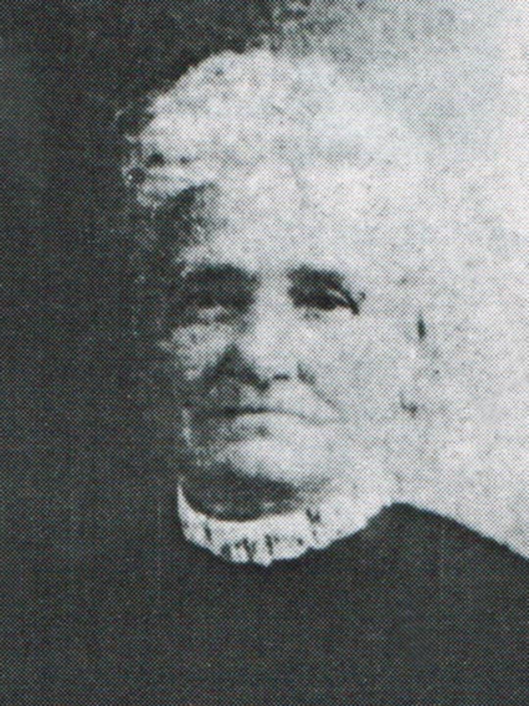 Sarah Williams (1835 - 1909) Profile
